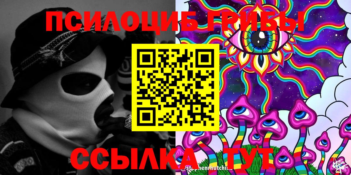 Псилоцибиновые грибы Psilocybine cubensis Дивногорск