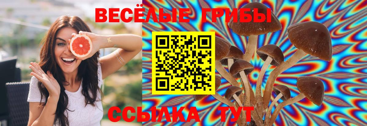Галлюциногенные грибы Psilocybine cubensis  Галлюциногенные грибы мухоморы  Дивногорск  Вход с VPN 
